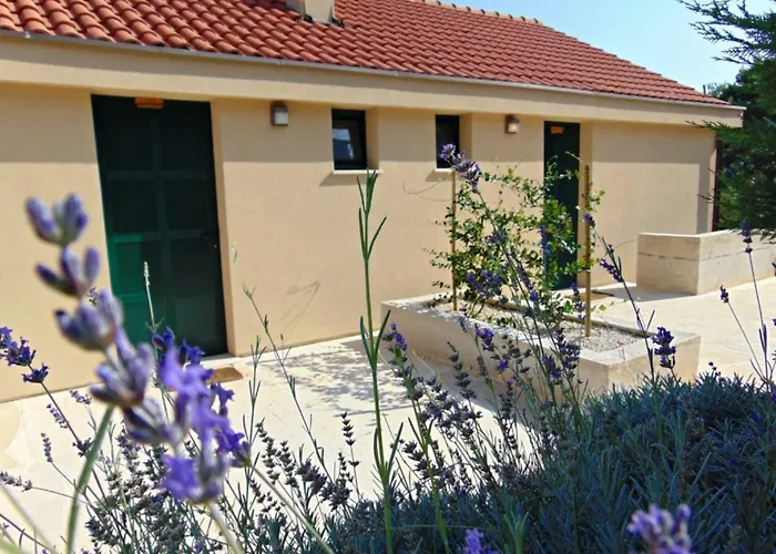 Apartment Inga - *